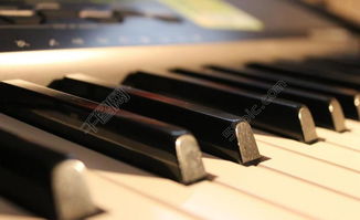 鋼琴圖片高清圖片免費下載 jpg格式 5184像素 編號13098173 千圖網