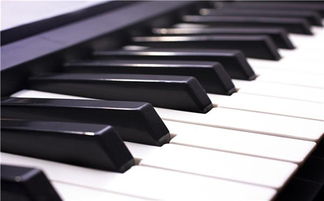 琴臺鋼琴博物館怎么樣 地址 票價 怎么去