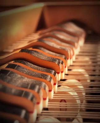樂器養護之丨樂器之王 鋼琴