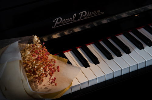 威海少兒鋼琴培訓課程