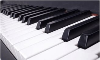鋼琴結構與維護保養常識