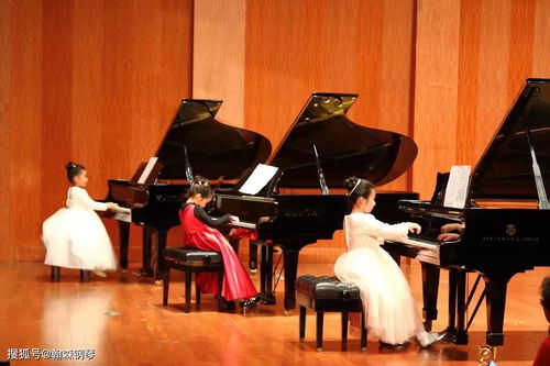 翰森 徐鴻麗 翰森鋼琴和施坦威同臺演奏,私人訂制,值得擁有