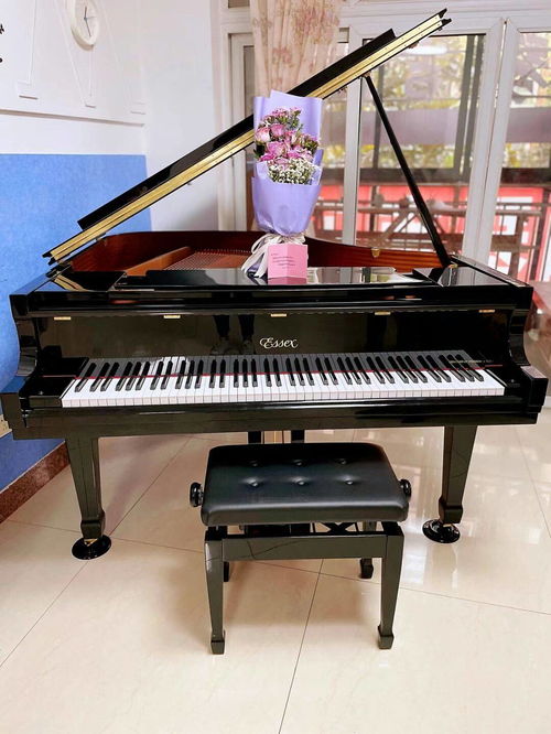 鋼琴保養手冊9條 成都智音鋼琴城分享