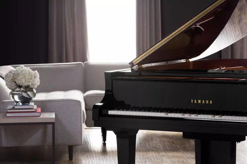 鋼琴冬季保養(yǎng)注意啥 雅馬哈鋼琴溫馨提示