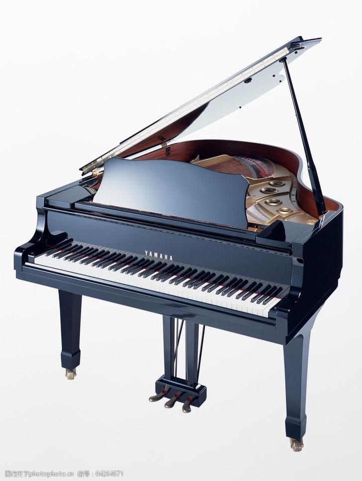 全琴鍵圖片素材
