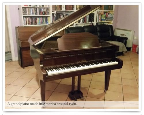 沒有終止線的鋼琴奏鳴曲 世界大眾品牌鋼琴沃爾德馬