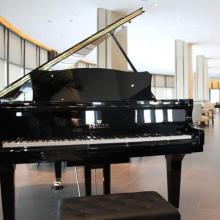 【周口卡瓦依鋼琴選購琴行】- 