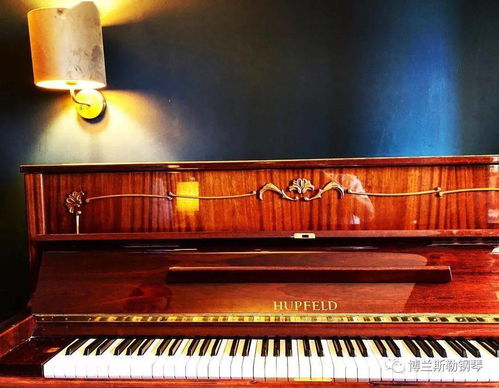 現(xiàn)代鋼琴制造領(lǐng)航者 德國百年鋼琴制造企業(yè) carl ronisch 卡爾 隆尼施鋼琴