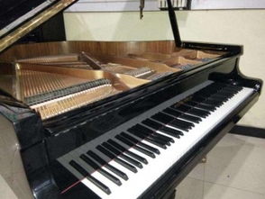 鋼琴寶貝工作室加盟 加盟費(fèi) 招商代理條件 加盟電話 中教招商網(wǎng)