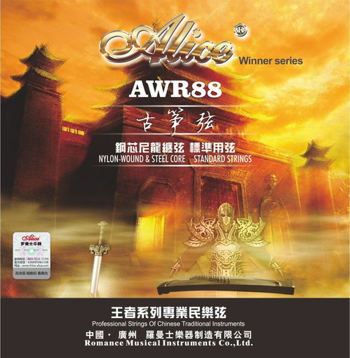 國際音樂大師走進廣州大劇院 為特殊兒童獻愛心