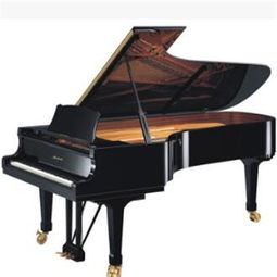 博列特鋼琴加盟 博列特鋼琴加盟多少錢 博列特鋼琴連鎖加盟店 3158創業信息網