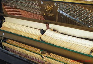 vv鋼琴度假村加盟連鎖火爆招商中 全球加盟網jiameng.com