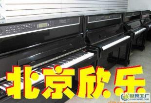 獨家生產專賣大立式8118C型數碼電鋼琴_運動.休閑_世界工廠網中國產品信息庫