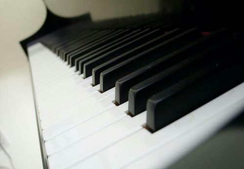 布什戈?duì)柎匿撉儇尯⒆訉W(xué)習(xí)鋼琴,你需要做好這些準(zhǔn)備