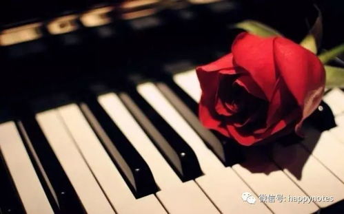 鋼琴教學中的 情感 是什么