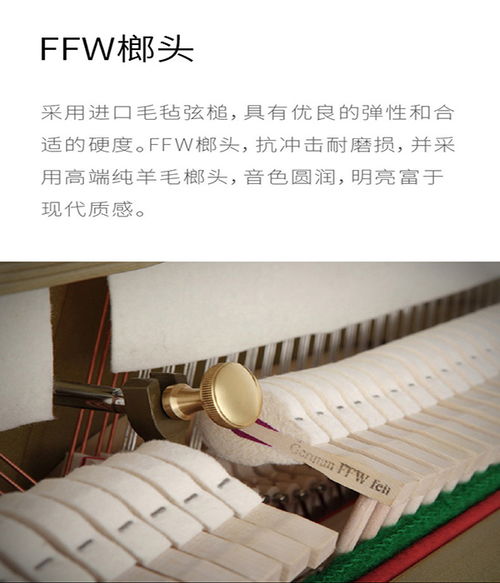 德國卡爾霍夫納鋼琴 阿米巴教育科技公司