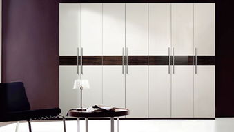 整體衣柜十大品牌