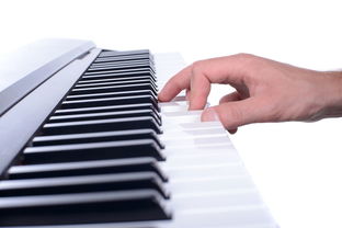 鋼琴e大調升什么音