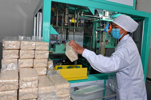 數(shù)說(shuō)寶 藏 農(nóng)牧特色鑄輝煌 鋼琴之鄉(xiāng)譜新章——西藏農(nóng)畜產(chǎn)業(yè)70年巨變紀(jì)實(shí)